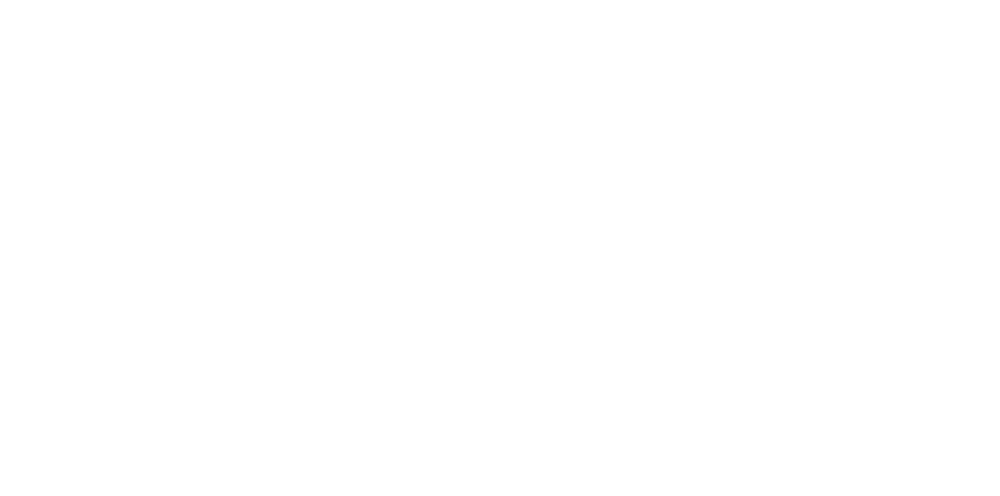 etope Pro - Logo Web invers